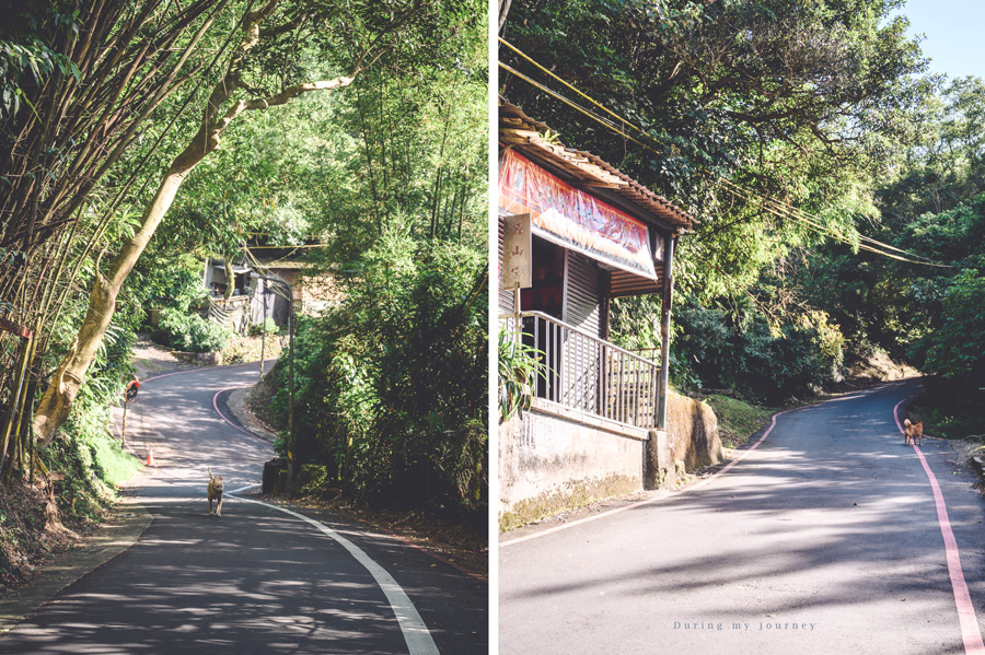 《台北信義》虎山溪親山步道 小橋流水與大台北城市景色並存的世外桃源、眺望台北101的秘境景觀台 @我的旅圖中 during my journey