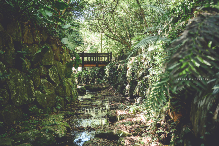 《台北信義》虎山溪親山步道 小橋流水與大台北城市景色並存的世外桃源、眺望台北101的秘境景觀台 @我的旅圖中 during my journey