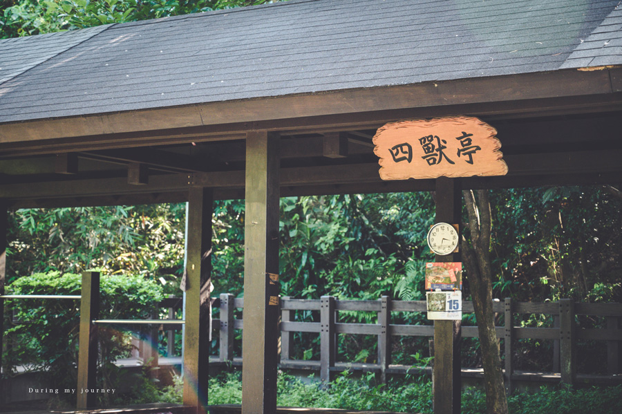 《台北信義》虎山溪親山步道 小橋流水與大台北城市景色並存的世外桃源、眺望台北101的秘境景觀台 @我的旅圖中 during my journey