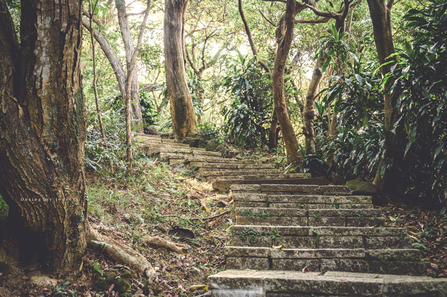 《台北信義》虎山溪親山步道 小橋流水與大台北城市景色並存的世外桃源、眺望台北101的秘境景觀台 @我的旅圖中 during my journey