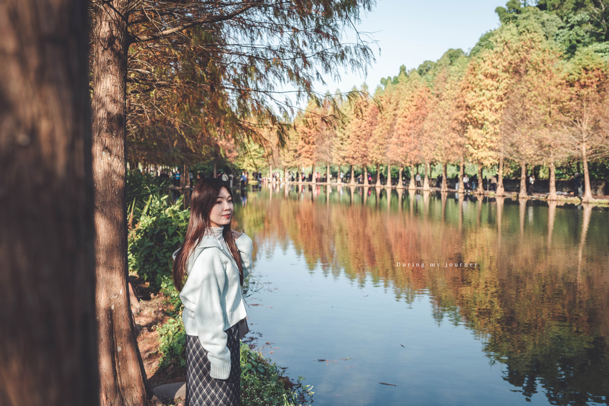 《桃園大溪》月眉人工濕地生態公園  像走進水彩畫裡的湖畔落羽松、冬季限定的最美景點