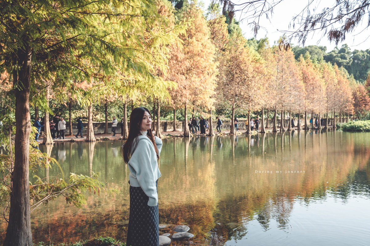 《桃園大溪》月眉人工濕地生態公園  像走進水彩畫裡的湖畔落羽松、冬季限定的最美景點