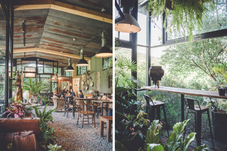 《台北士林》野人花園SAVAGE GARDEN 將陽明山的森林搬進咖啡廳裡、被植栽包圍的綠意花園 @我的旅圖中 during my journey