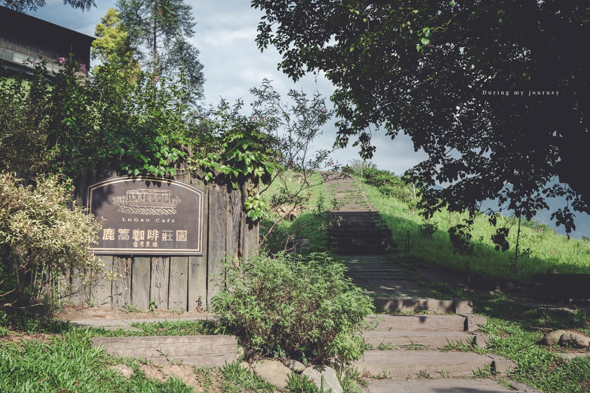 《南投魚池》鹿篙咖啡莊園 坐落茶園山景中的絕美咖啡廳、藏在山腰間的秘境莊園