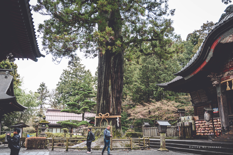 《日本山梨》北口本宮富士淺間神社 靜謐森林裡的千年古老神社、登錄世界遺產的富士山祈福聖地 @我的旅圖中 during my journey