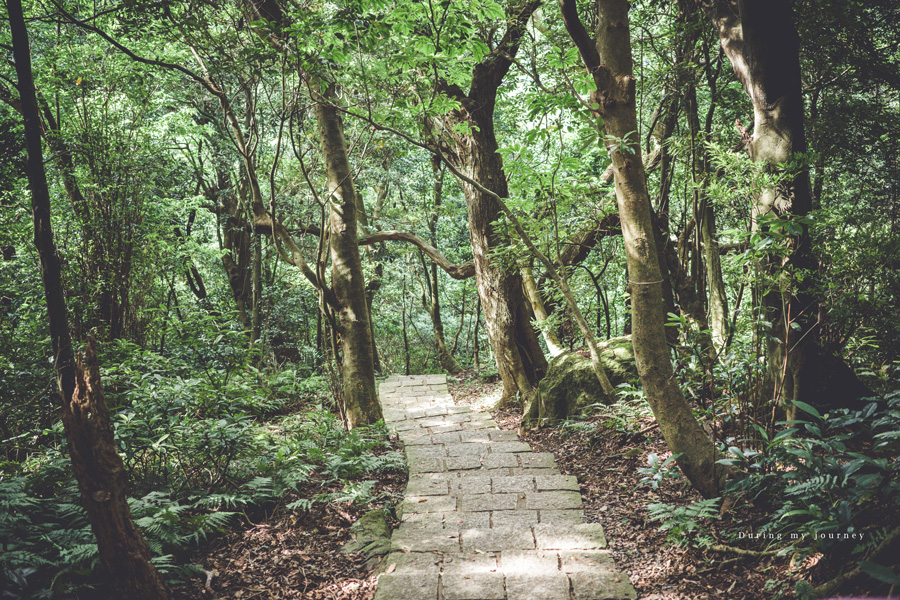 《台北北投》天母古道親山步道 山林岩壁間的靜謐幽徑、穿梭於天母與陽明山的古道秘境 @我的旅圖中 during my journey