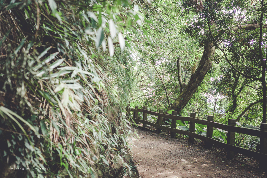 《台北北投》天母古道親山步道 山林岩壁間的靜謐幽徑、穿梭於天母與陽明山的古道秘境 @我的旅圖中 during my journey