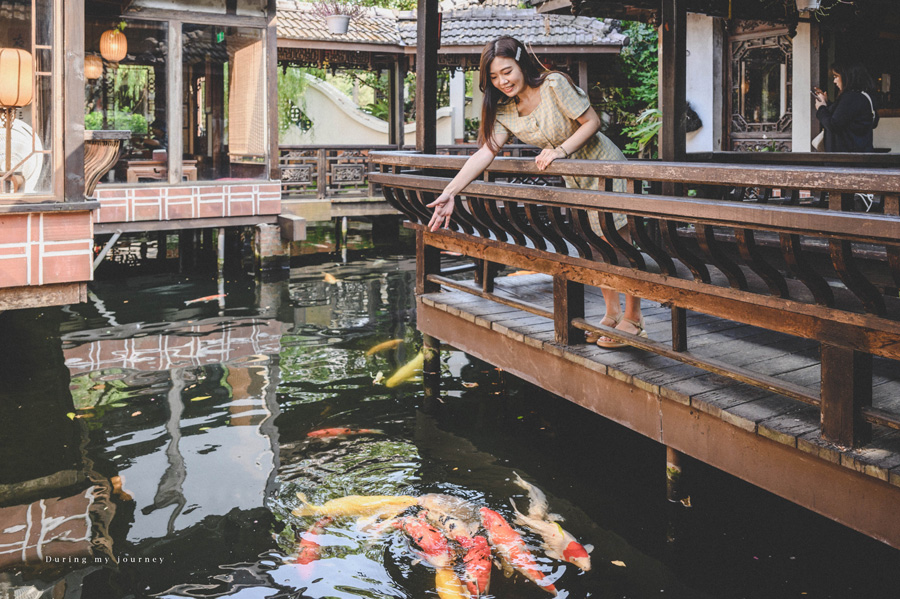 《桃園中壢》友竹居茶藝館 穿越時空的古典江南庭園餐廳、在詩意中享受中式料理或茶席 @我的旅圖中 during my journey