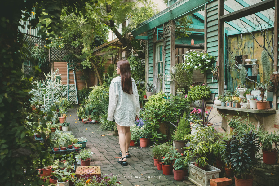 《桃園中壢》 光源62咖啡 像是森林童話小屋的花園咖啡廳、花草植栽相伴的午茶時光 @我的旅圖中 during my journey