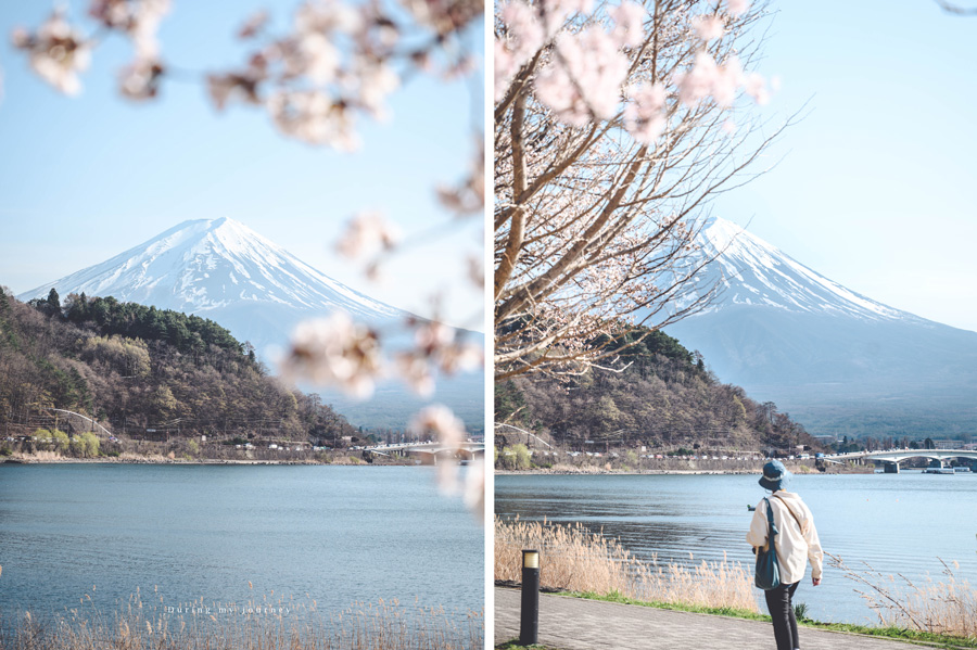 《日本河口湖景點行程推薦》追尋富士山的夢幻景色 自駕玩河口湖二日遊行程攻略、邂逅春天櫻花最浪漫的季節 @我的旅圖中 during my journey