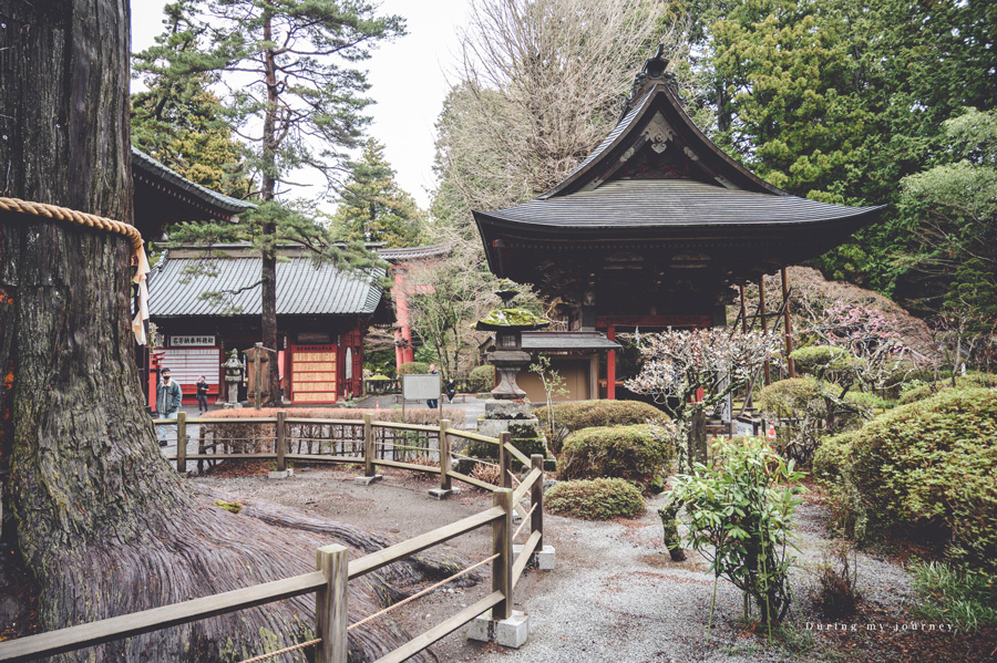 《日本河口湖景點行程推薦》追尋富士山的夢幻景色 自駕玩河口湖二日遊行程攻略、邂逅春天櫻花最浪漫的季節 @我的旅圖中 during my journey