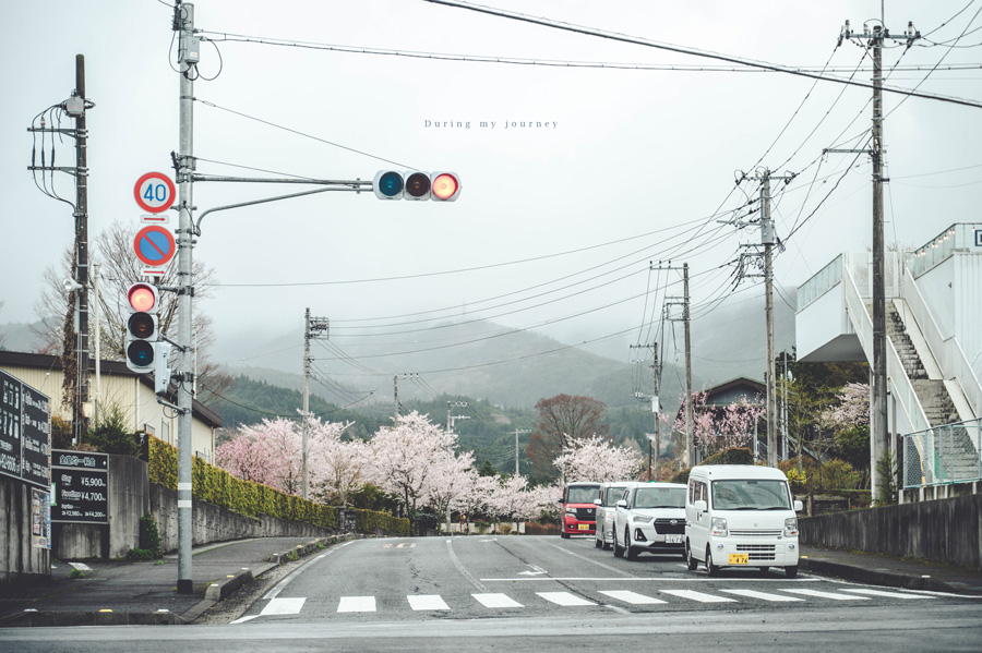 《日本河口湖景點行程推薦》追尋富士山的夢幻景色 自駕玩河口湖二日遊行程攻略、邂逅春天櫻花最浪漫的季節 @我的旅圖中 during my journey