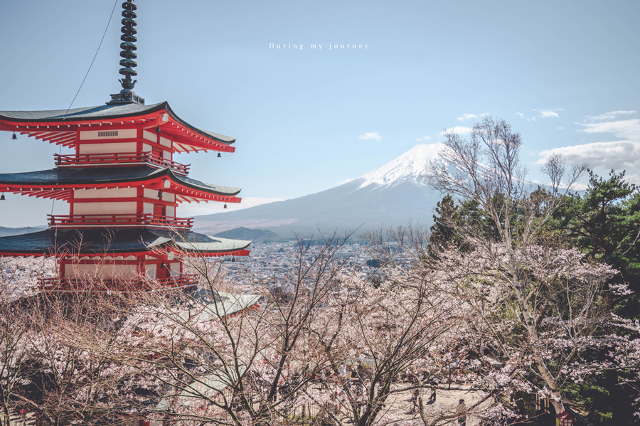 《日本河口湖景點行程推薦》追尋富士山的夢幻景色 自駕玩河口湖二日遊行程攻略、邂逅春天櫻花最浪漫的季節 @我的旅圖中 during my journey