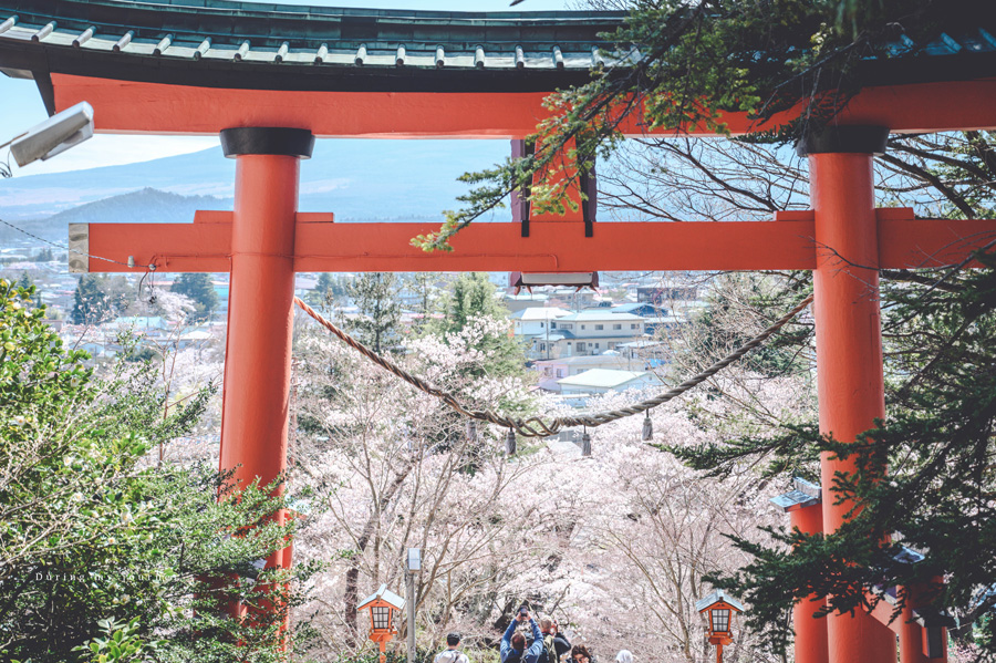 《日本河口湖景點行程推薦》追尋富士山的夢幻景色 自駕玩河口湖二日遊行程攻略、邂逅春天櫻花最浪漫的季節 @我的旅圖中 during my journey