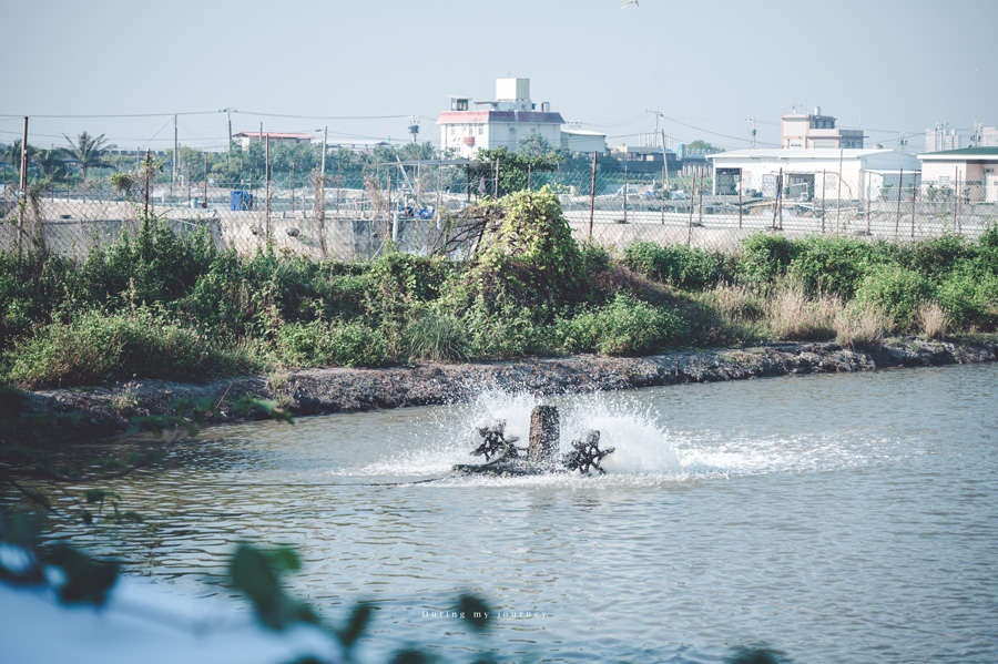 《屏東行程景點推薦》農村到漁村的山海小旅行 走進鳳梨田打包一罐甜蜜滋味、漁村版的一日黑白大廚挑戰 @我的旅圖中 during my journey