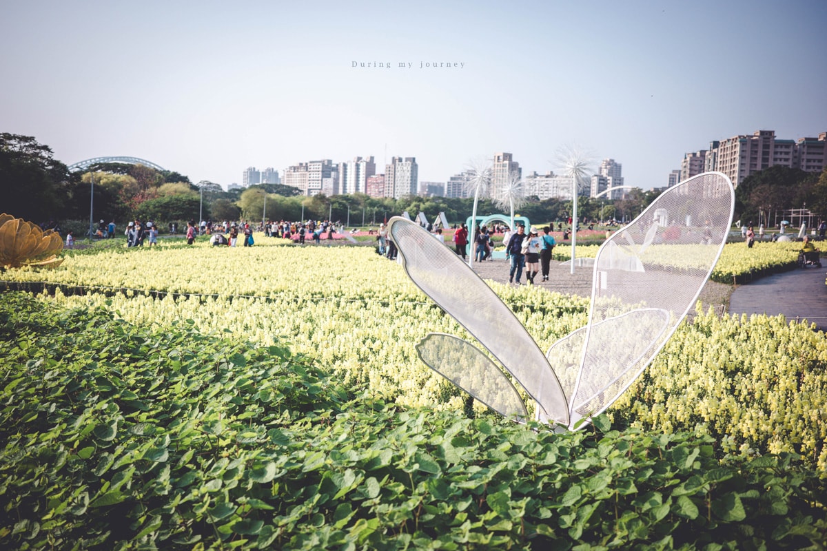 《台北中正》2026古亭河濱公園花海 隱藏於城市中的河濱花園小秘境、季節限定綿延壯觀的繽紛撞色花海