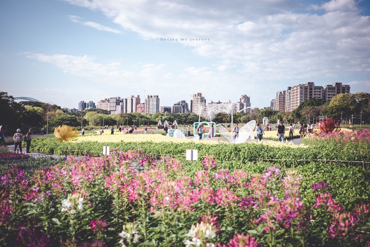 《台北中正》2026古亭河濱公園花海 隱藏於城市中的河濱花園小秘境、季節限定綿延壯觀的繽紛撞色花海