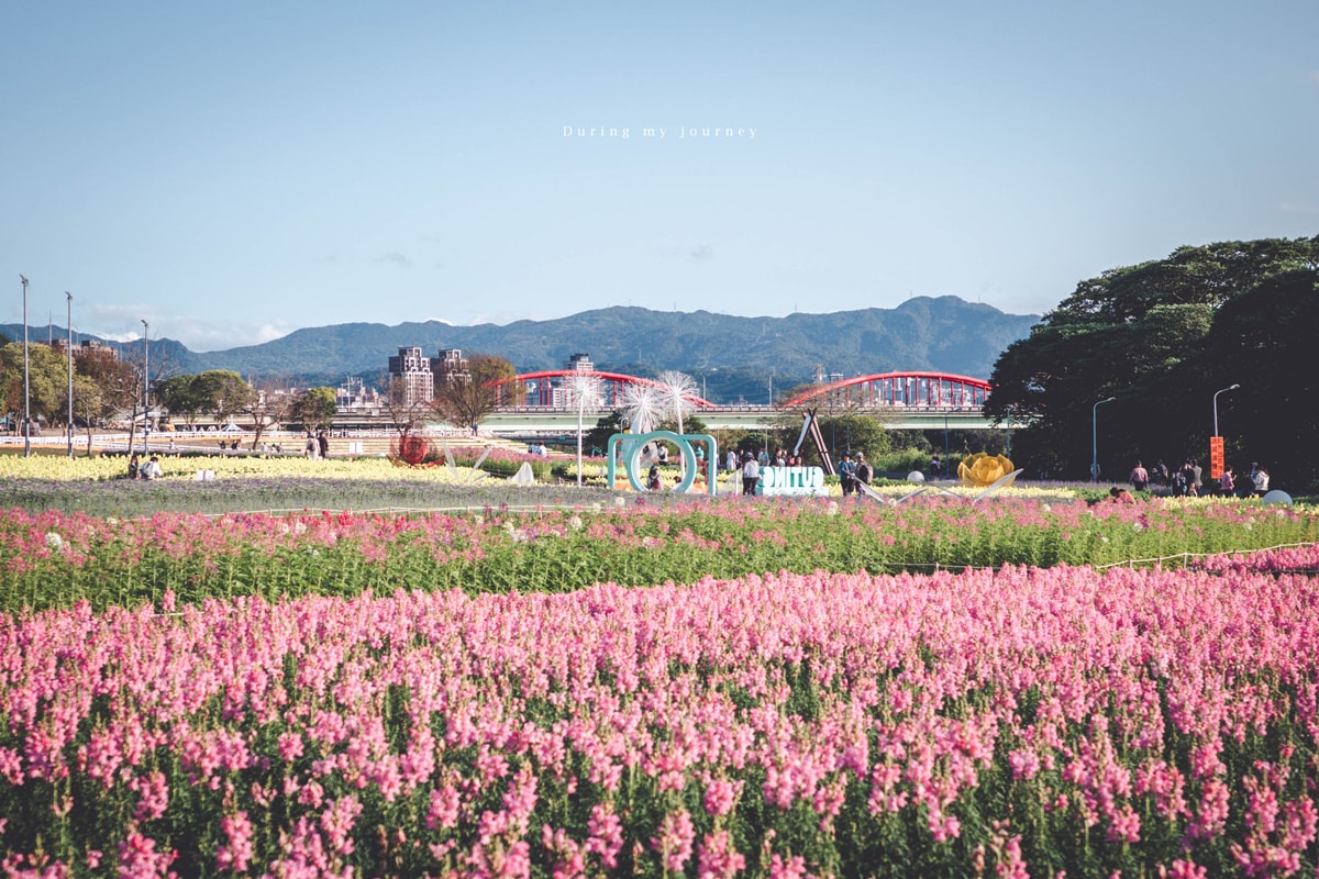 《台北中正》2026古亭河濱公園花海 隱藏於城市中的河濱花園小秘境、季節限定綿延壯觀的繽紛撞色花海