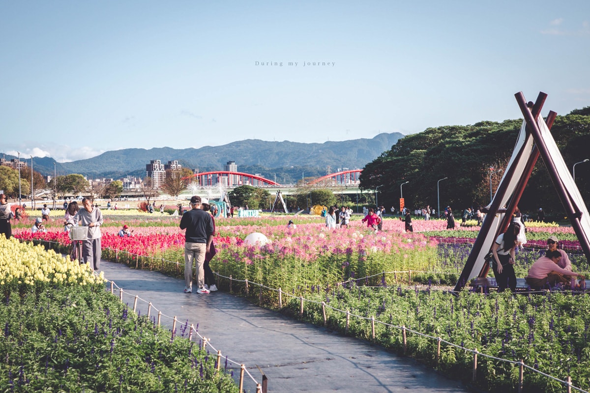 《台北中正》2026古亭河濱公園花海 隱藏於城市中的河濱花園小秘境、季節限定綿延壯觀的繽紛撞色花海