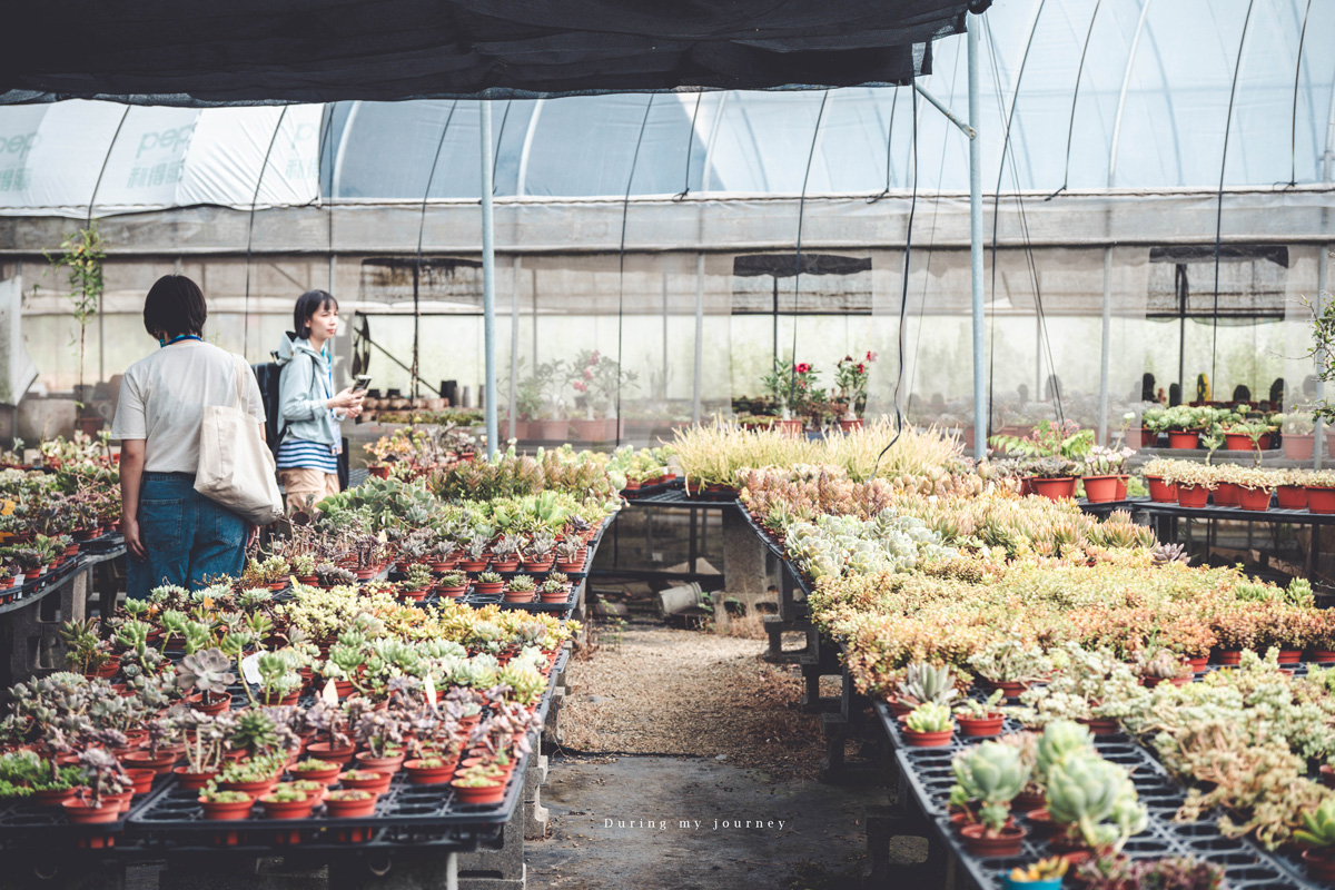《桃園富岡一日遊》新富騎影・屋角記憶  富岡與新屋小鎮的單車巡禮、沿途串起鐵道記憶與鄉村風光 - 第17張圖 Dsc 7437