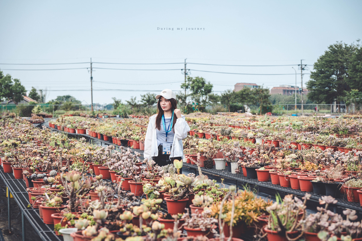 《桃園富岡一日遊》新富騎影・屋角記憶  富岡與新屋小鎮的單車巡禮、沿途串起鐵道記憶與鄉村風光 - 第16張圖 Dsc 7441