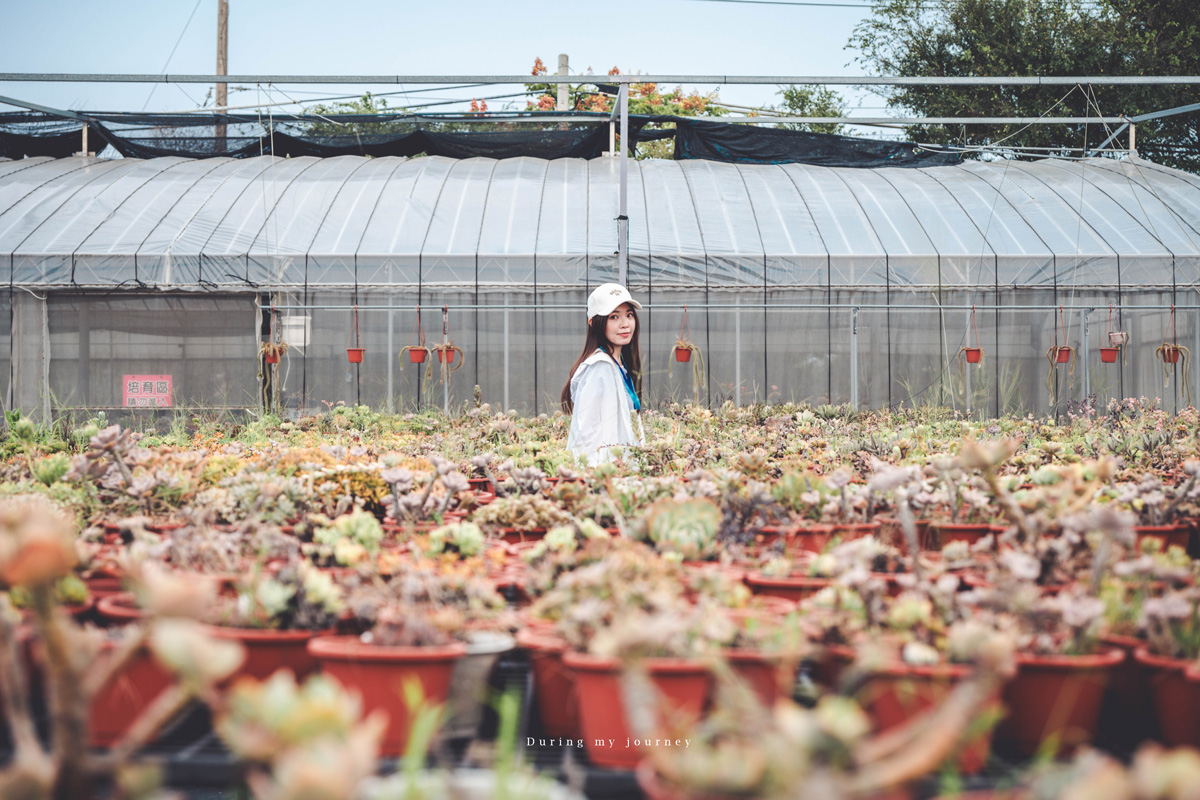 《桃園富岡一日遊》新富騎影・屋角記憶  富岡與新屋小鎮的單車巡禮、沿途串起鐵道記憶與鄉村風光 - 第18張圖 Dsc 7478