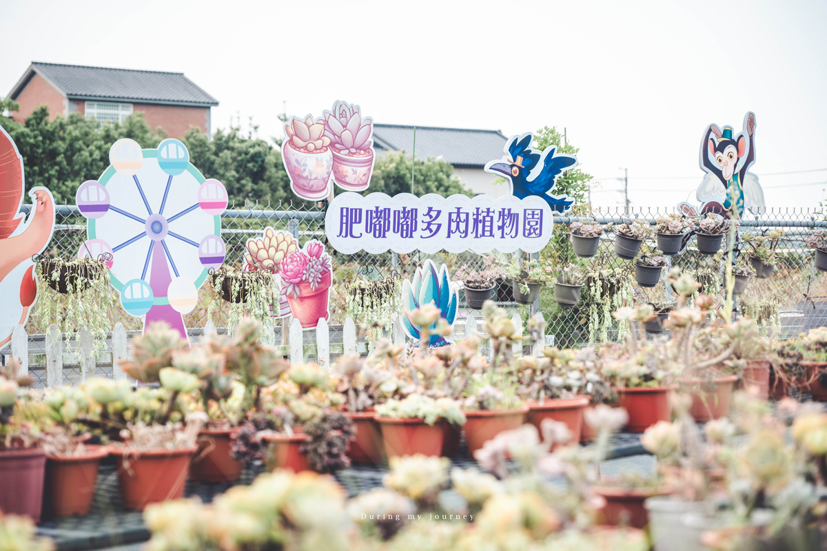 《桃園富岡一日遊》新富騎影・屋角記憶  富岡與新屋小鎮的單車巡禮、沿途串起鐵道記憶與鄉村風光 - 第15張圖 Dsc 7480