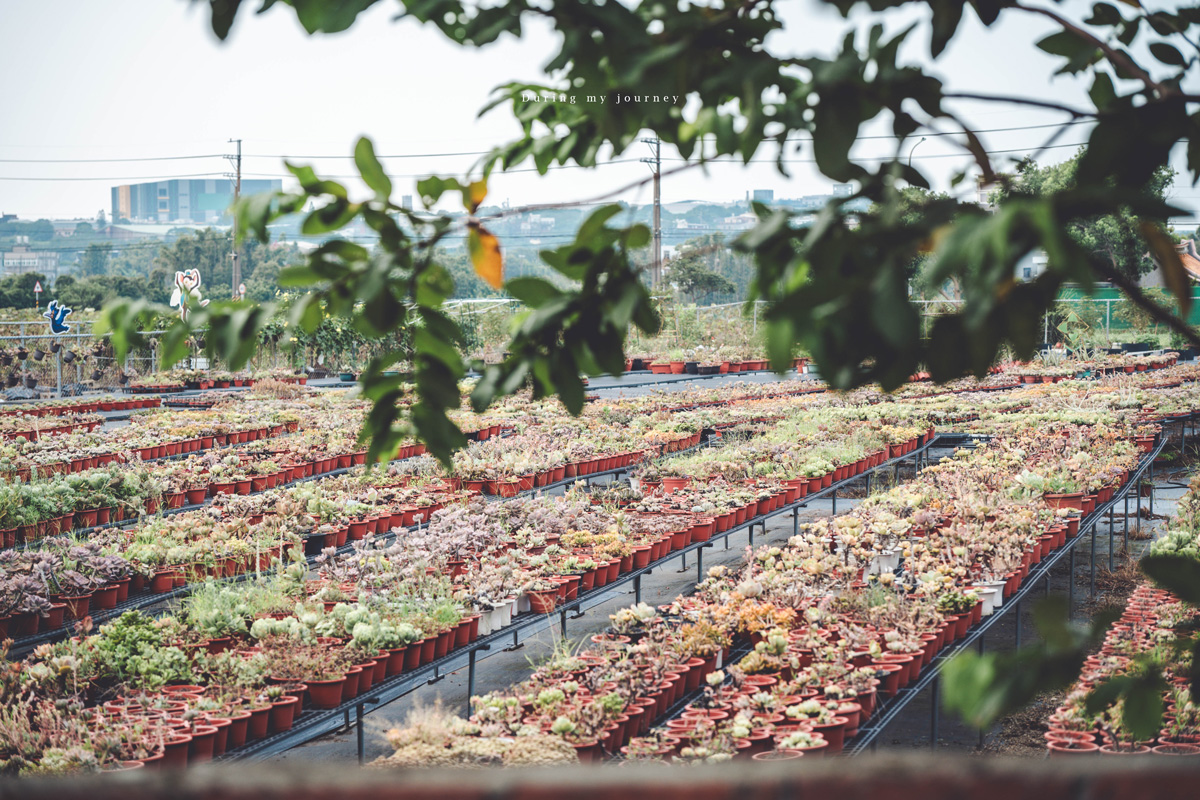 《桃園富岡一日遊》新富騎影・屋角記憶  富岡與新屋小鎮的單車巡禮、沿途串起鐵道記憶與鄉村風光 - 第14張圖 Dsc 7485