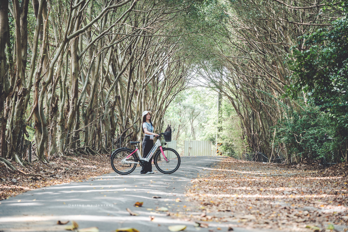 《桃園富岡一日遊》新富騎影・屋角記憶  富岡與新屋小鎮的單車巡禮、沿途串起鐵道記憶與鄉村風光 - 第21張圖 Dsc 7576