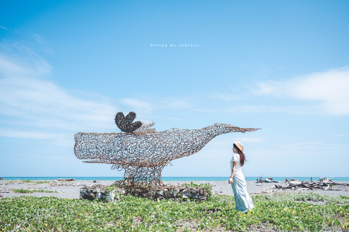 《台東兩天一夜景點行程》2025南迴藝術季 太平洋旁沒有門票和圍牆的美術館、走進台東最自由的地景藝術展 - 第10張圖 Dsc 8706