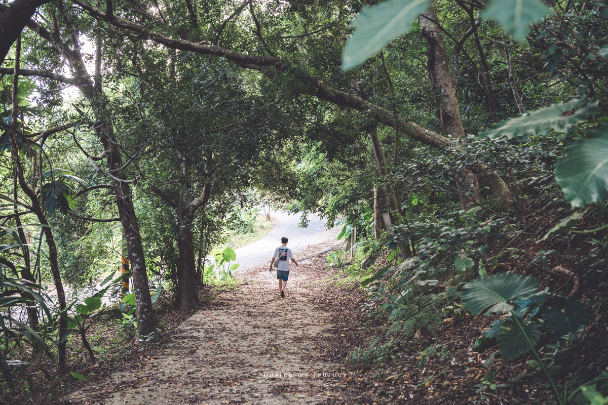 《台東兩天一夜景點行程》2025南迴藝術季 太平洋旁沒有門票和圍牆的美術館、走進台東最自由的地景藝術展 - 第27張圖 Dsc 8828
