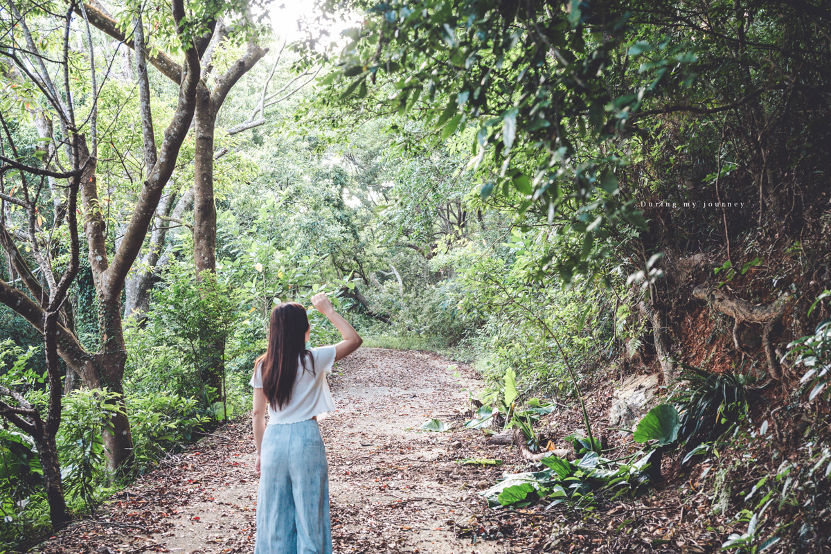 《台東兩天一夜景點行程》2025南迴藝術季 太平洋旁沒有門票和圍牆的美術館、走進台東最自由的地景藝術展 - 第28張圖 Dsc 8841