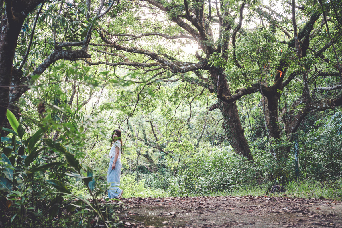 《台東兩天一夜景點行程》2025南迴藝術季 太平洋旁沒有門票和圍牆的美術館、走進台東最自由的地景藝術展 - 第29張圖 Dsc 8843