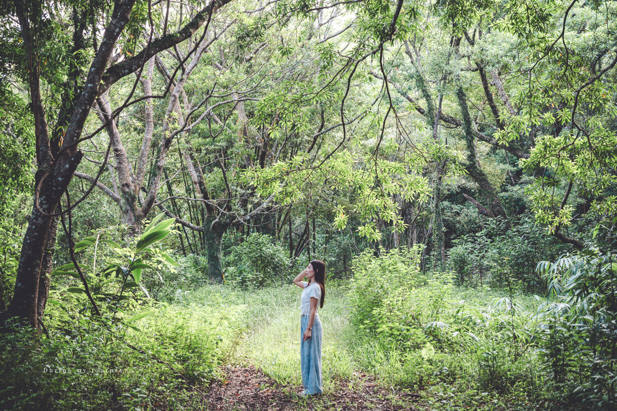 《台東兩天一夜景點行程》2025南迴藝術季 太平洋旁沒有門票和圍牆的美術館、走進台東最自由的地景藝術展 - 第30張圖 Dsc 8854