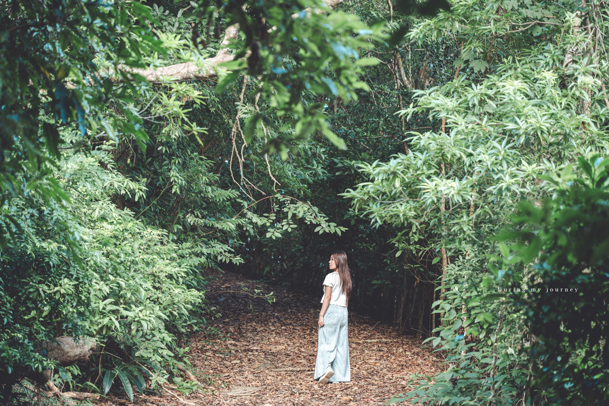 《台東兩天一夜景點行程》2025南迴藝術季 太平洋旁沒有門票和圍牆的美術館、走進台東最自由的地景藝術展 - 第33張圖 Dsc 8882