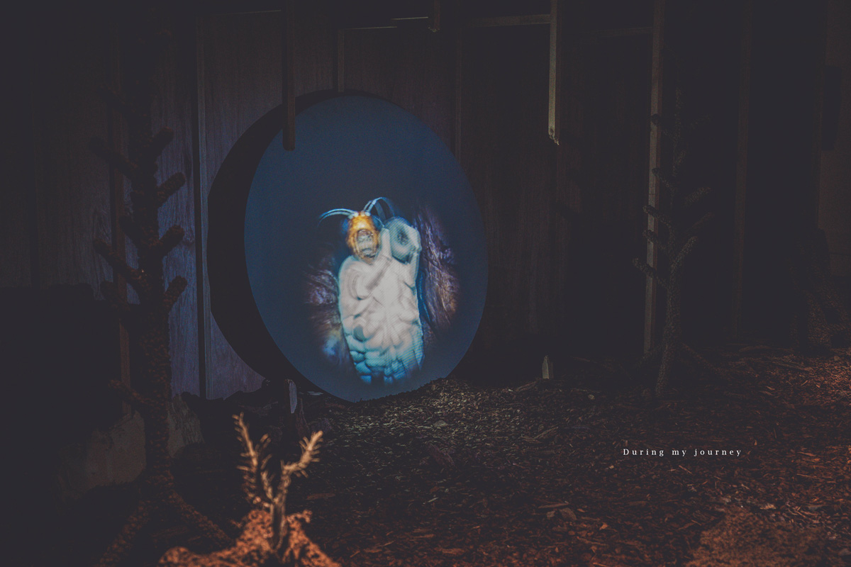 《台東兩天一夜景點行程》2025南迴藝術季 太平洋旁沒有門票和圍牆的美術館、走進台東最自由的地景藝術展 - 第47張圖 Dsc 9087