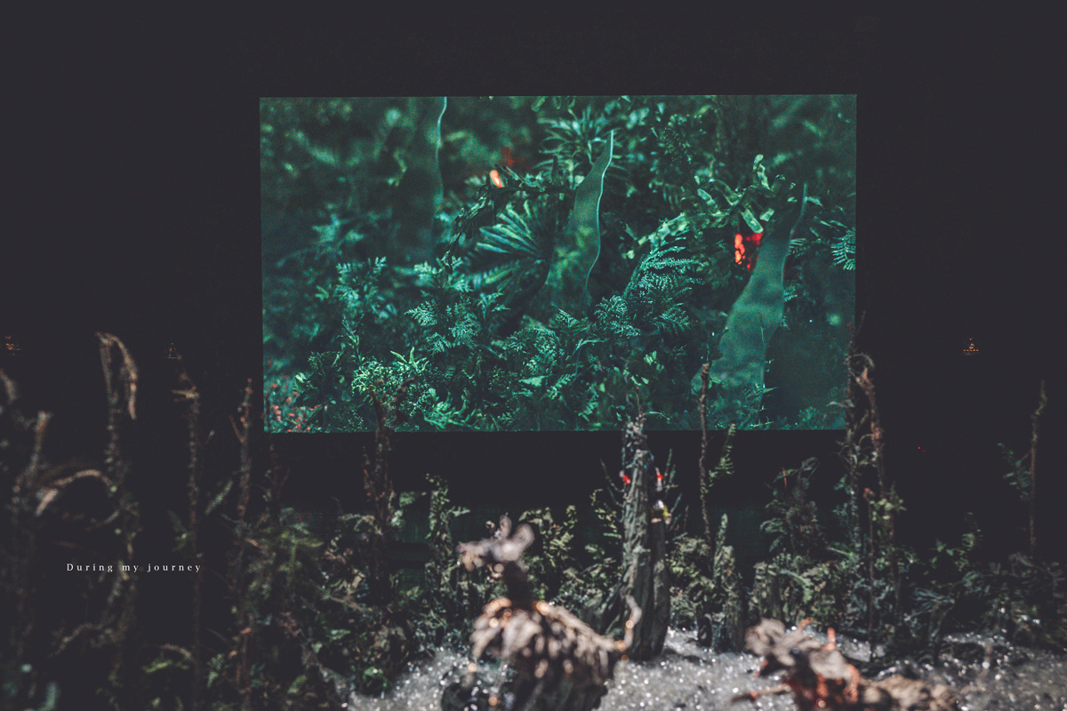 《台東兩天一夜景點行程》2025南迴藝術季 太平洋旁沒有門票和圍牆的美術館、走進台東最自由的地景藝術展 - 第48張圖 Dsc 9094