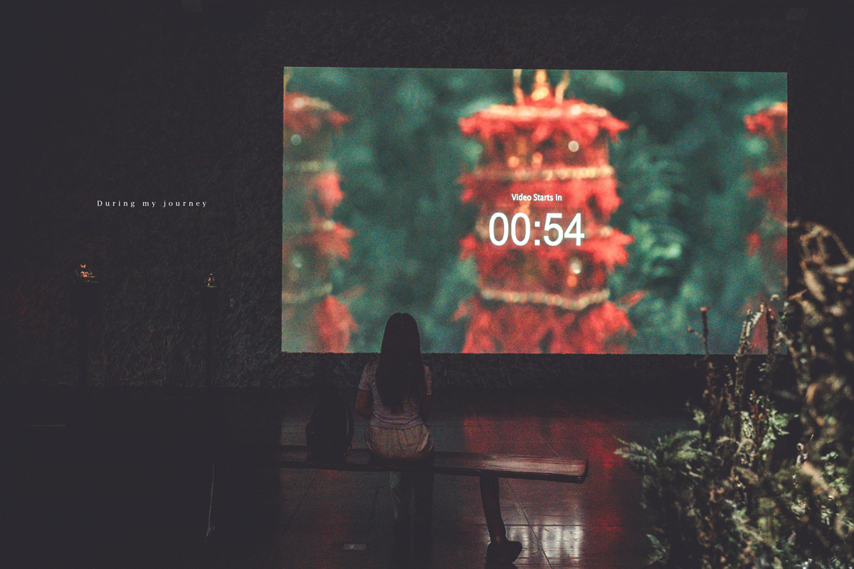 《台東兩天一夜景點行程》2025南迴藝術季 太平洋旁沒有門票和圍牆的美術館、走進台東最自由的地景藝術展 - 第50張圖 Dsc 9114