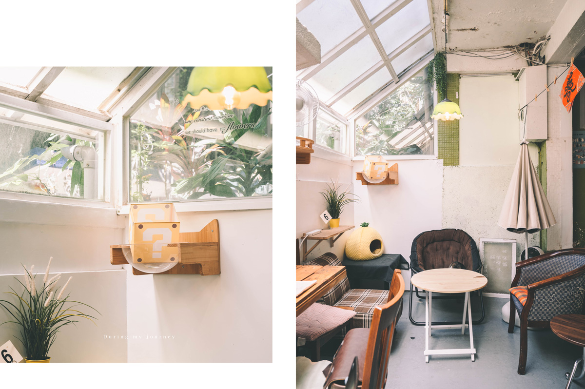 《新北永和》Mr. Chu啾・咖啡食堂 頂溪巷弄裡的老宅貓咪咖啡廳、永和不限時秘密基地 - 第5張圖 01