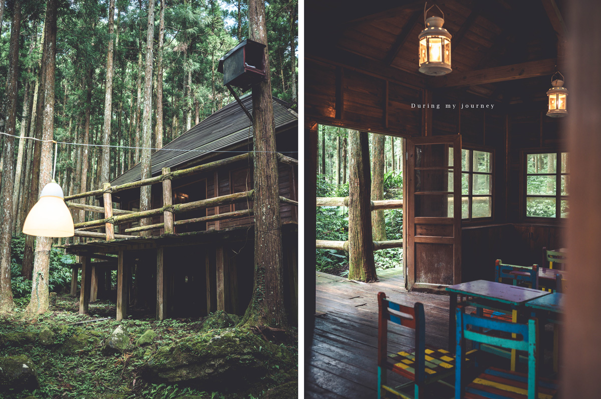 《新竹關西》馬武督探索森林 闖進童話故事裡的綠光森林、漫步森林浴的瀑布步道 - 第4張圖 01