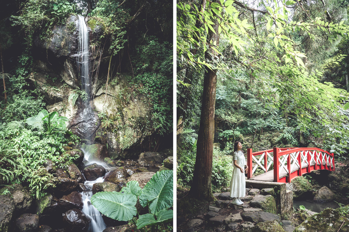 《新竹關西》馬武督探索森林 闖進童話故事裡的綠光森林、漫步森林浴的瀑布步道 - 第16張圖 02
