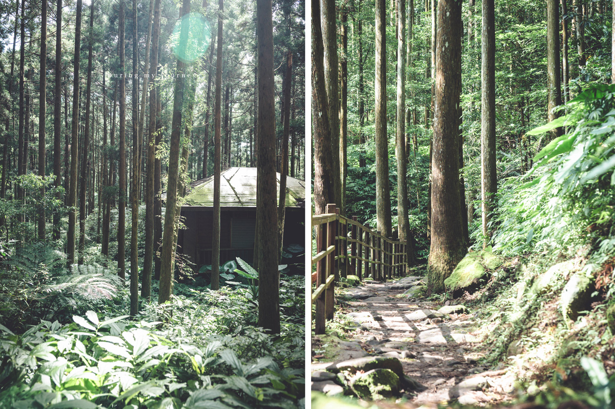 《新竹關西》馬武督探索森林 闖進童話故事裡的綠光森林、漫步森林浴的瀑布步道 - 第13張圖 03