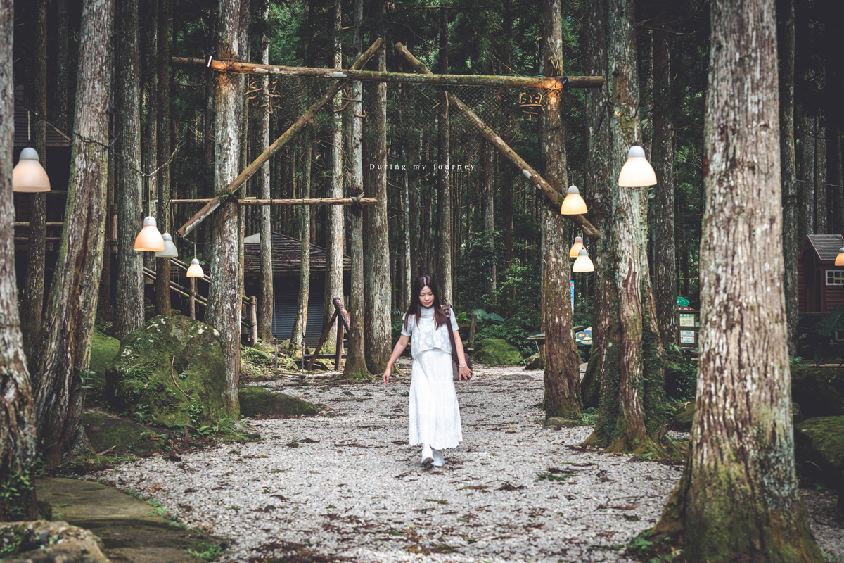 《新竹關西》馬武督探索森林 闖進童話故事裡的綠光森林、漫步森林浴的瀑布步道 - 第2張圖 Dsc 2553