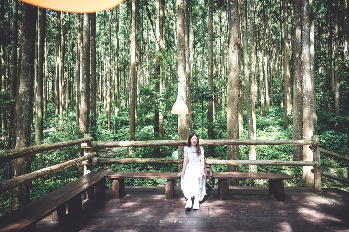 《新竹關西》馬武督探索森林 闖進童話故事裡的綠光森林、漫步森林浴的瀑布步道 - 第7張圖 Dsc 2668