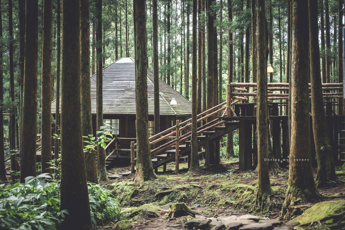 《新竹關西》馬武督探索森林 闖進童話故事裡的綠光森林、漫步森林浴的瀑布步道 - 第8張圖 Dsc 2682