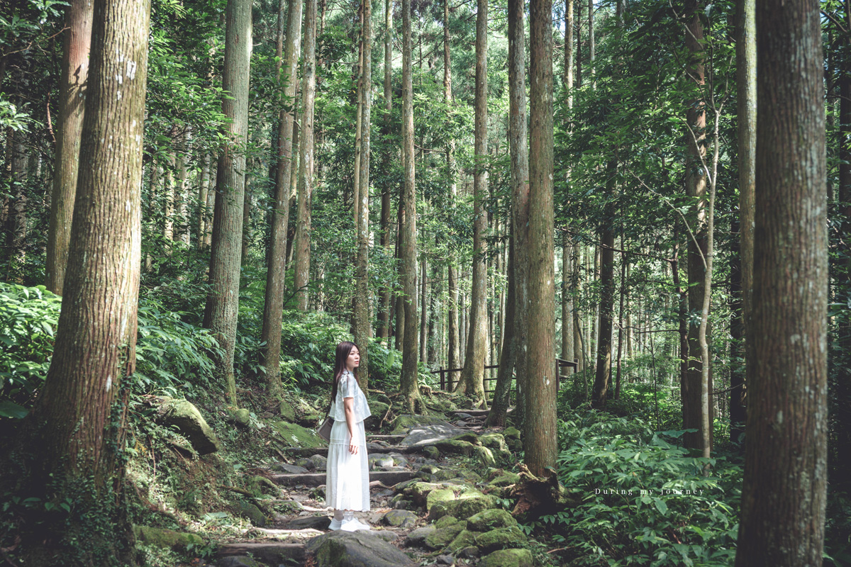 《新竹關西》馬武督探索森林 闖進童話故事裡的綠光森林、漫步森林浴的瀑布步道 - 第9張圖 Dsc 2691