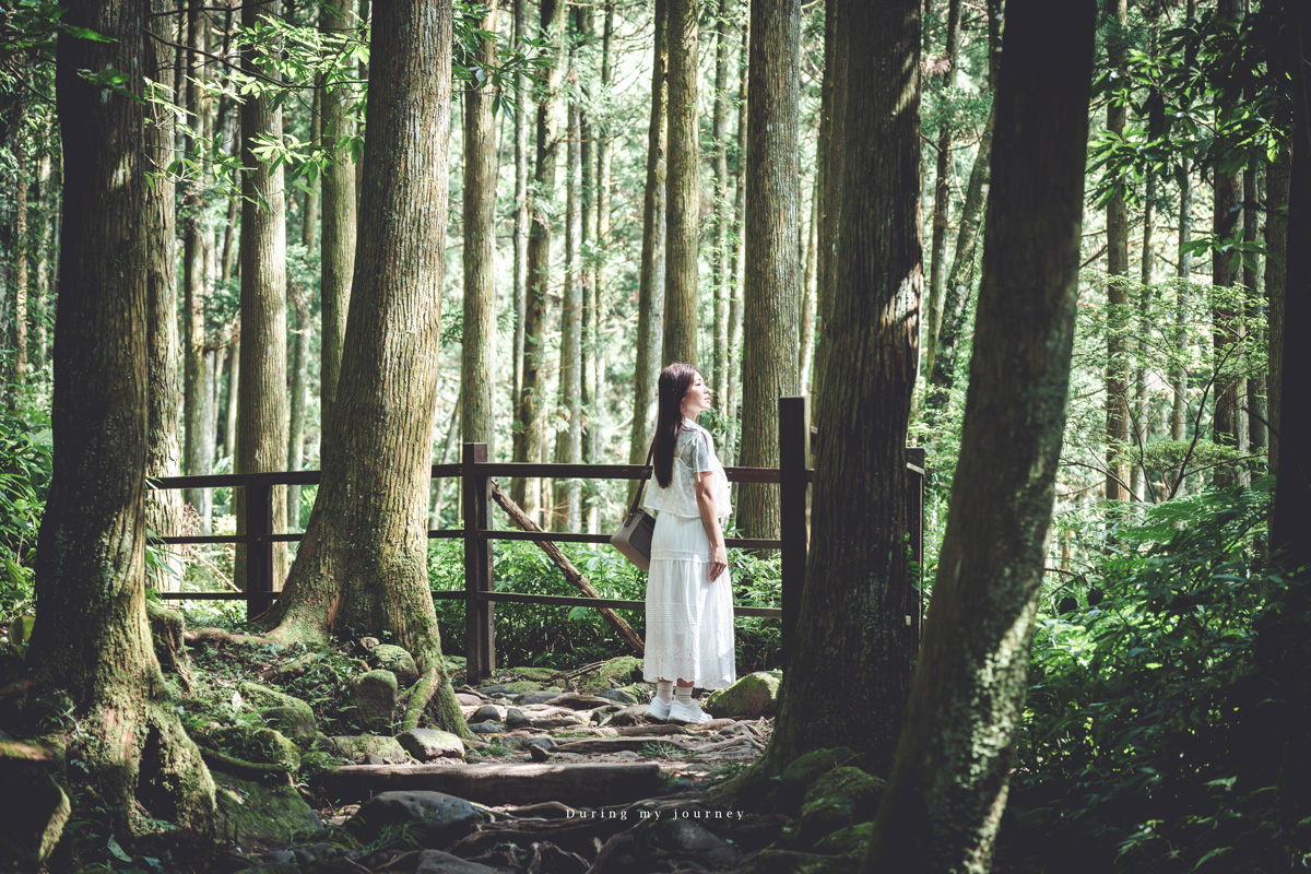 《新竹關西》馬武督探索森林 闖進童話故事裡的綠光森林、漫步森林浴的瀑布步道 - 第10張圖 Dsc 2708