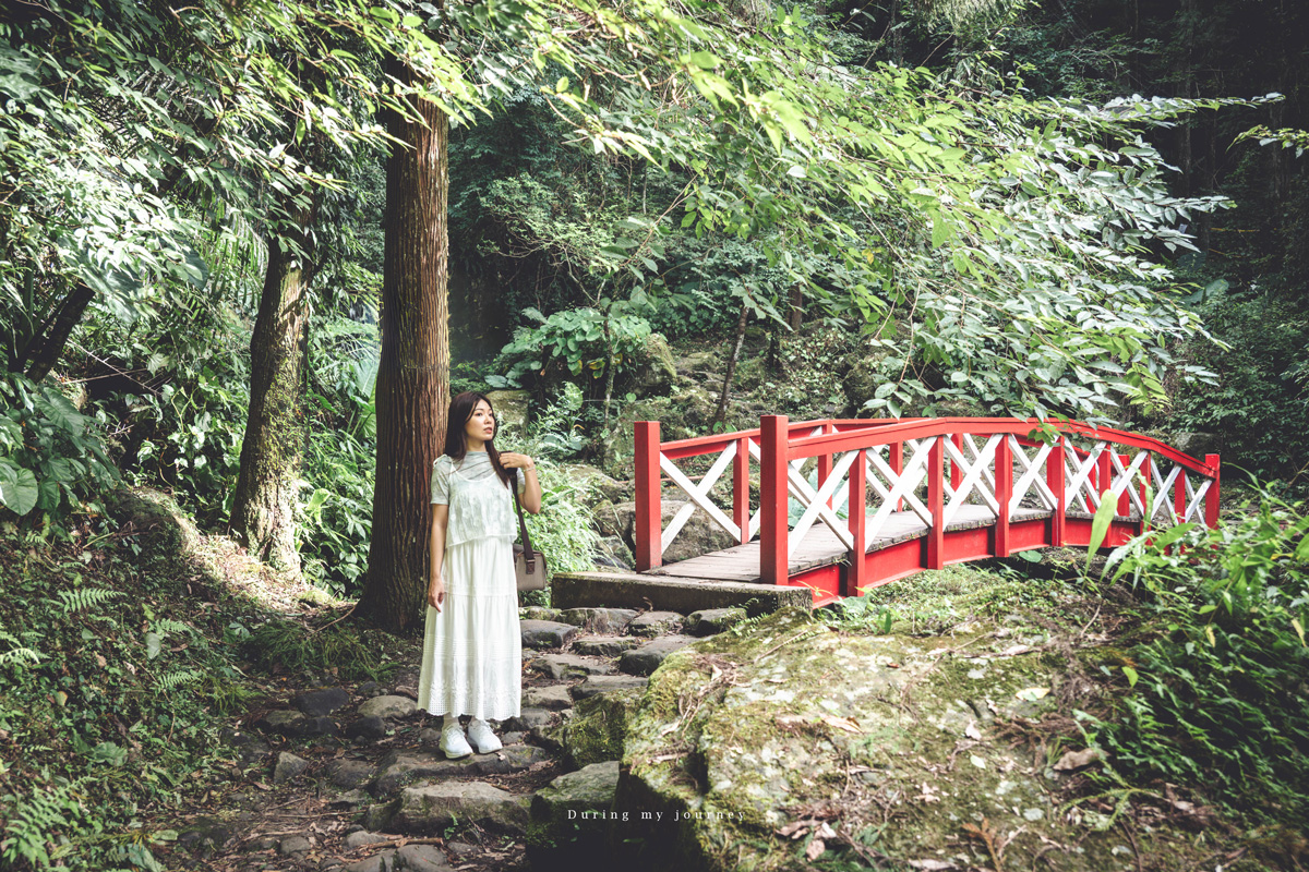 《新竹關西》馬武督探索森林 闖進童話故事裡的綠光森林、漫步森林浴的瀑布步道 - 第18張圖 Dsc 2845