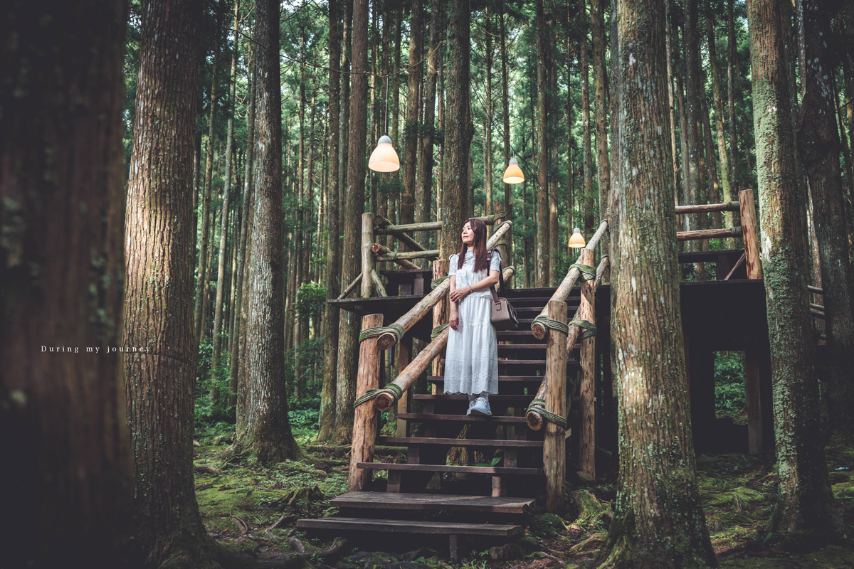 《新竹關西》馬武督探索森林 闖進童話故事裡的綠光森林、漫步森林浴的瀑布步道 - 第6張圖 Dsc 2927