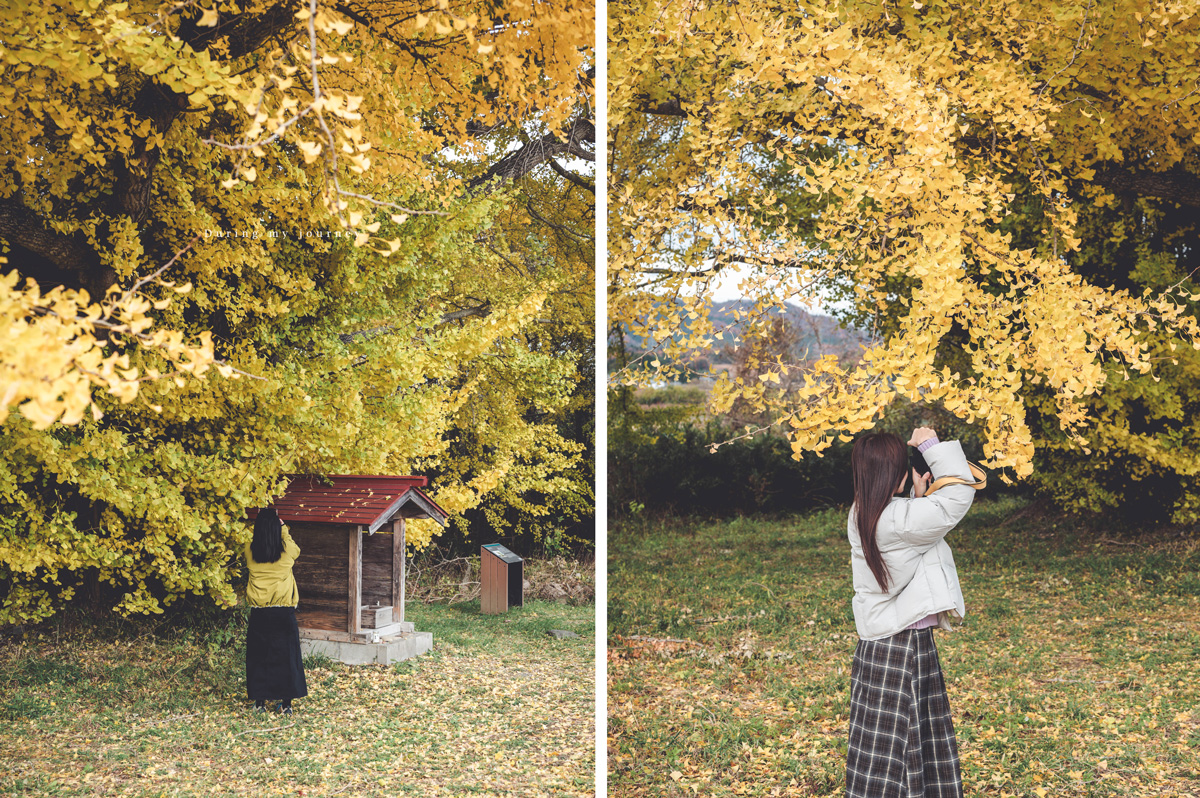 《日本福島景點行程推薦》一次收藏福島私房路線！ 紅葉季秘境神社、吉利蛋公園與深刻的311地震遺址